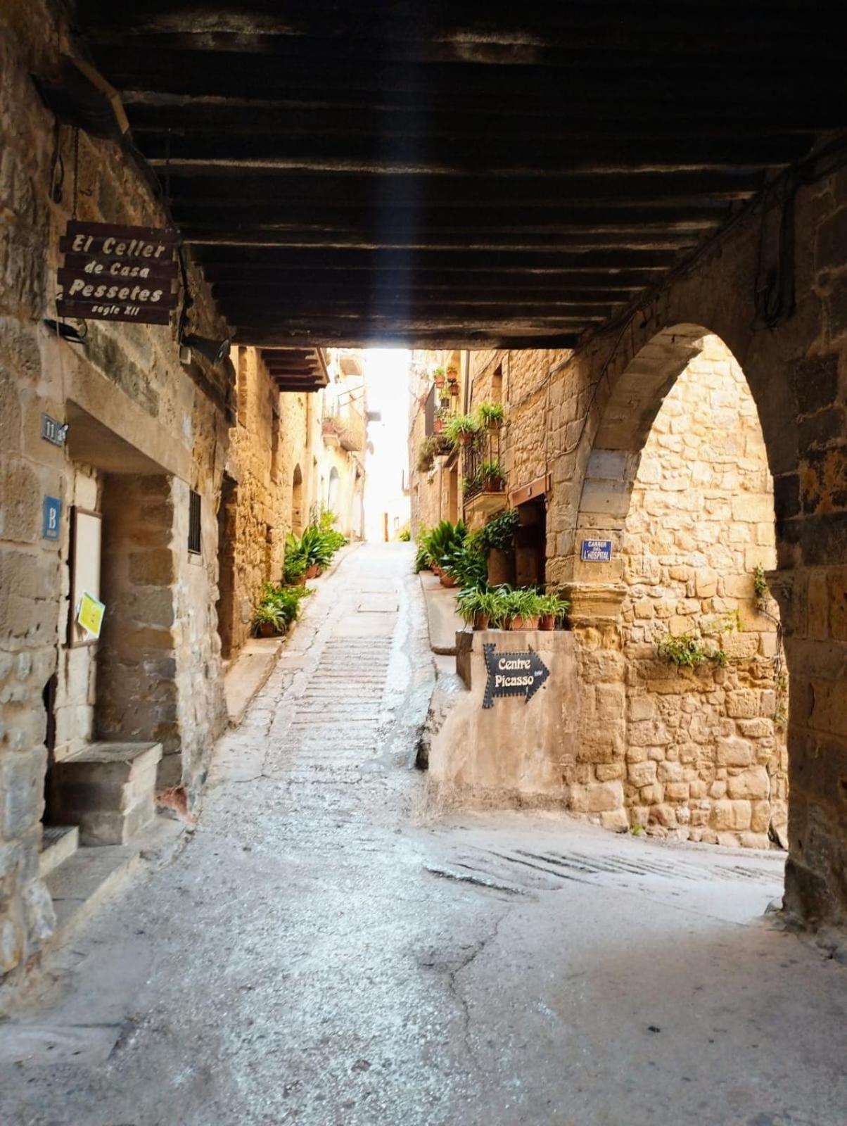Вилла La Casa Del Castell Орта-де-Сан-Жоан Экстерьер фото